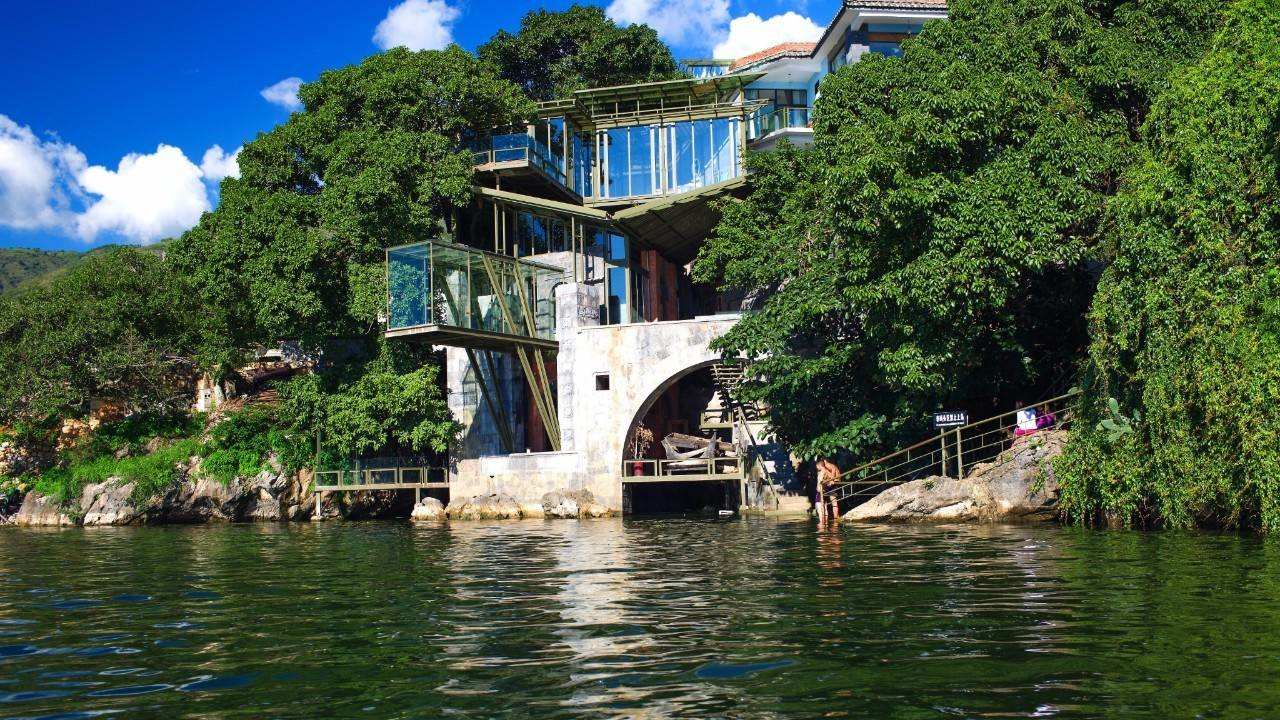 健身明星rex_盘点那些健身明星_明星最爱的健身品牌